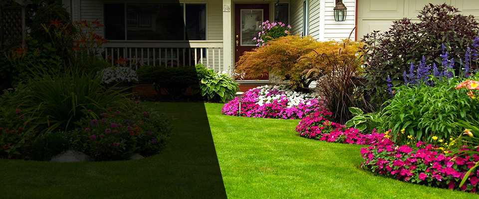 Union Lake Landscapers